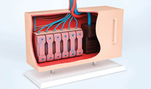 找个便宜方法的一秒发1000条电话的软件